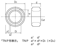 TNP形表示